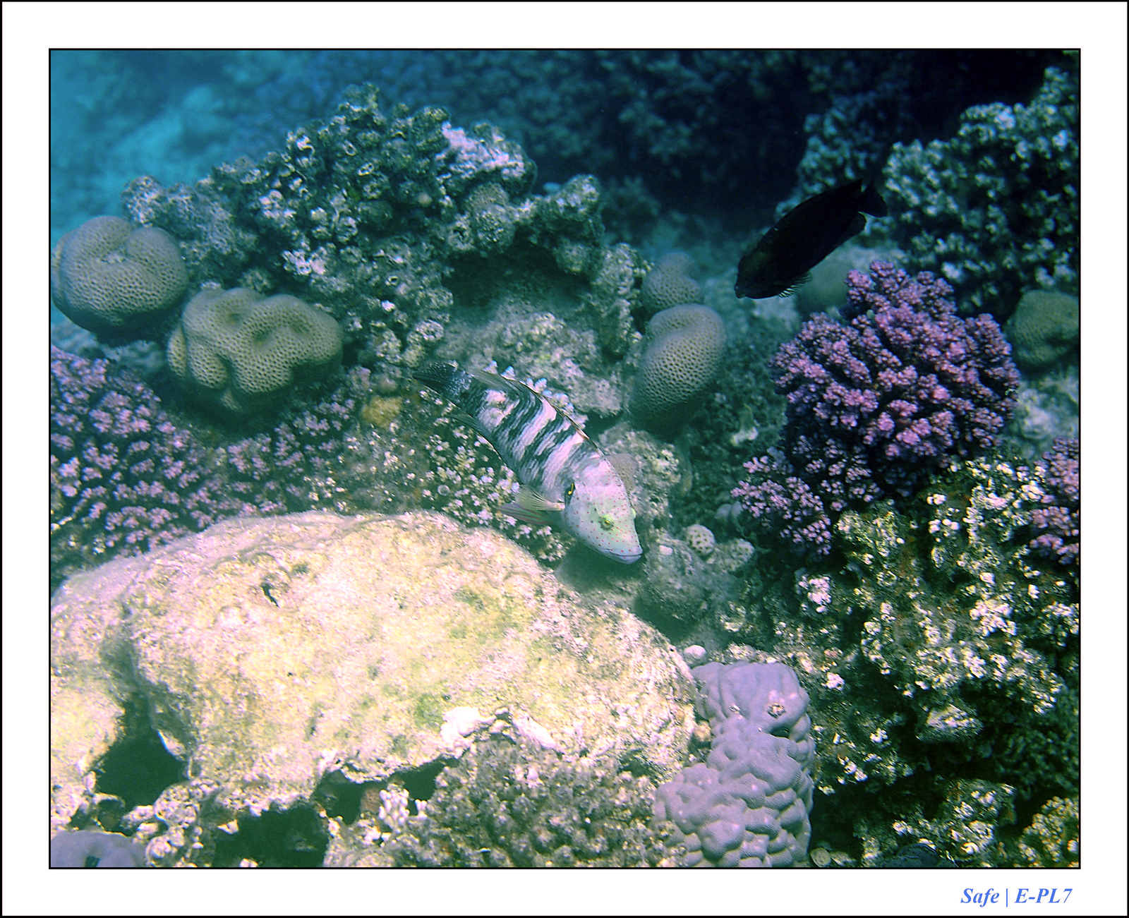 Hurghada - Juillet 2021 - 051